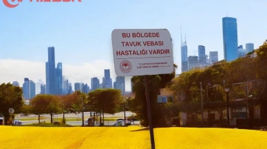 Hatay'da Görülen Kuş Gribi Vakaları: Karantinadaki Mahallede Son Gelişmeler!